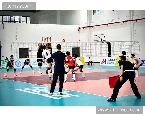 上海排球队的拼搏之路:从低谷到巅峰的奋斗历程与荣耀回顾 上海排球队的拼搏之路:从低谷到巅峰的奋斗历程与荣耀回顾