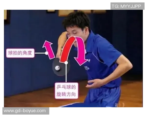 从零基础到高手之路乒乓球技巧与心态全面提升攻略 从零基础到高手之路乒乓球技巧与心态全面提升攻略