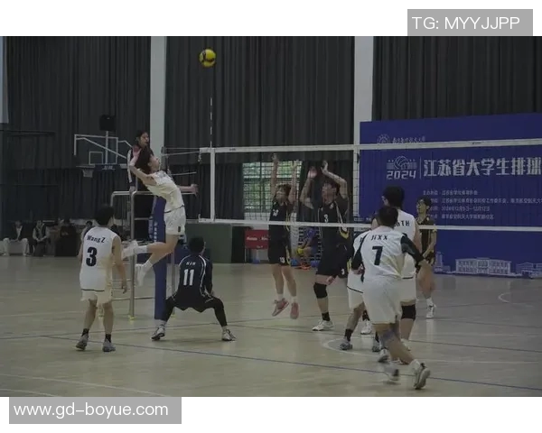 广州排球队的奋斗与荣耀：一段排球精神的真实纪实之旅