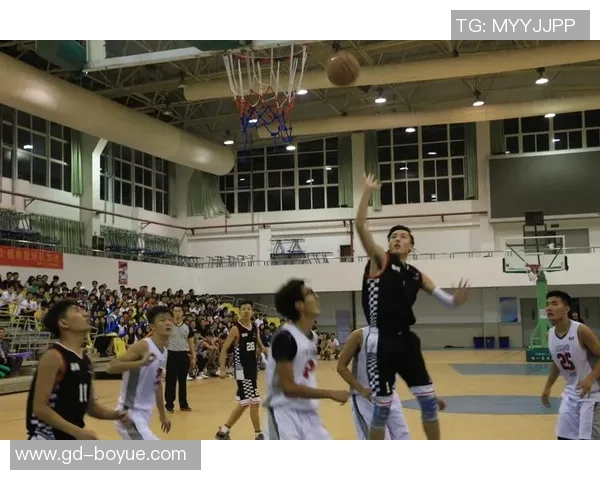 重庆篮球队总决赛表现分析意识与战术的深度结合与提升