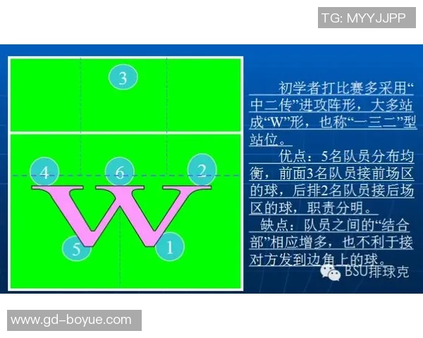 科学排球：战术训练方法
