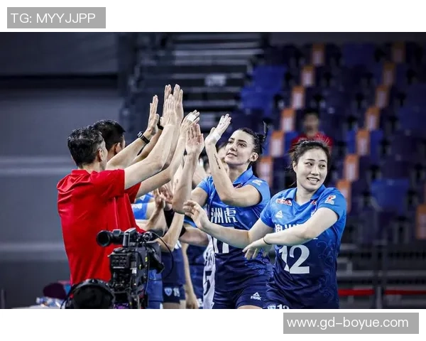 排球纪实：记录深圳排球队的逆袭之旅