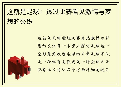 这就是足球：透过比赛看见激情与梦想的交织