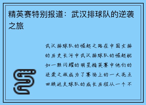 精英赛特别报道：武汉排球队的逆袭之旅