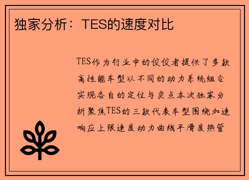 独家分析：TES的速度对比